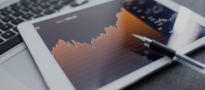 Financial Highlights