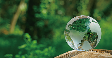 Sustainability Management